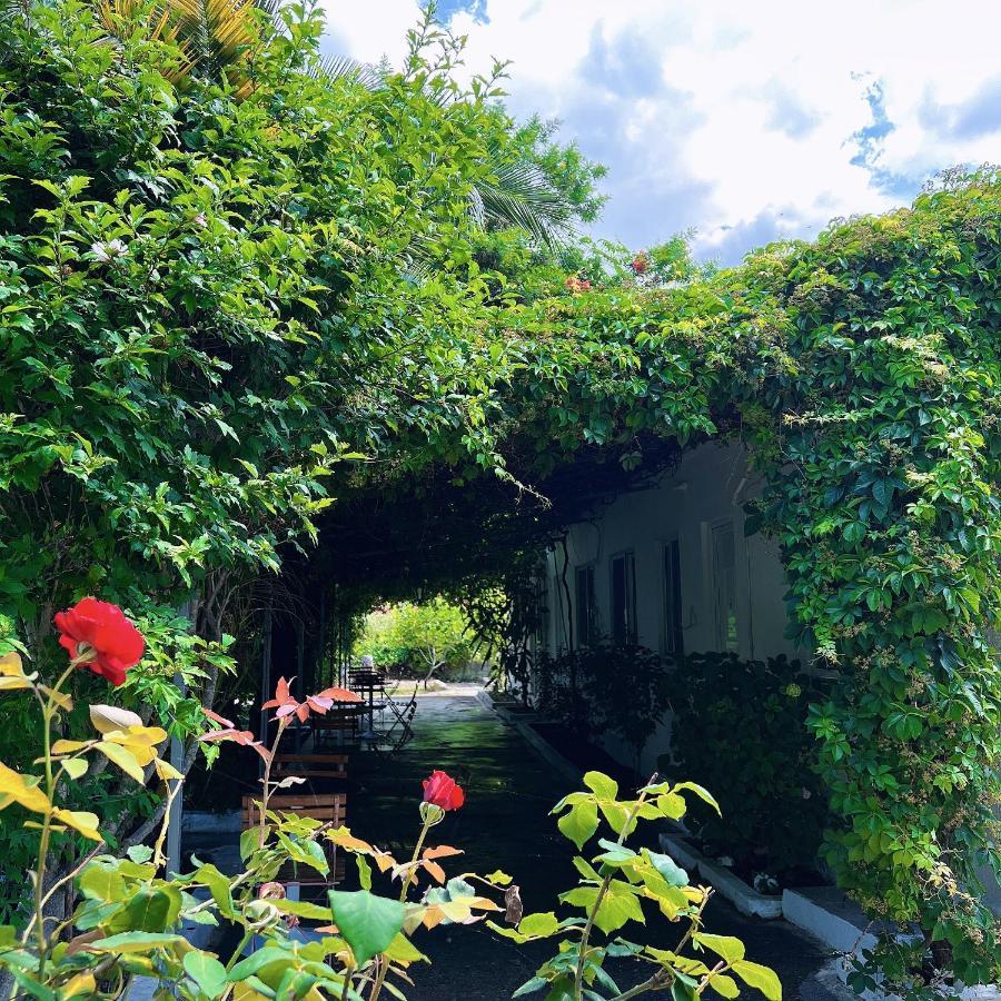 Garden Villa Naza Piqeras 外观 照片