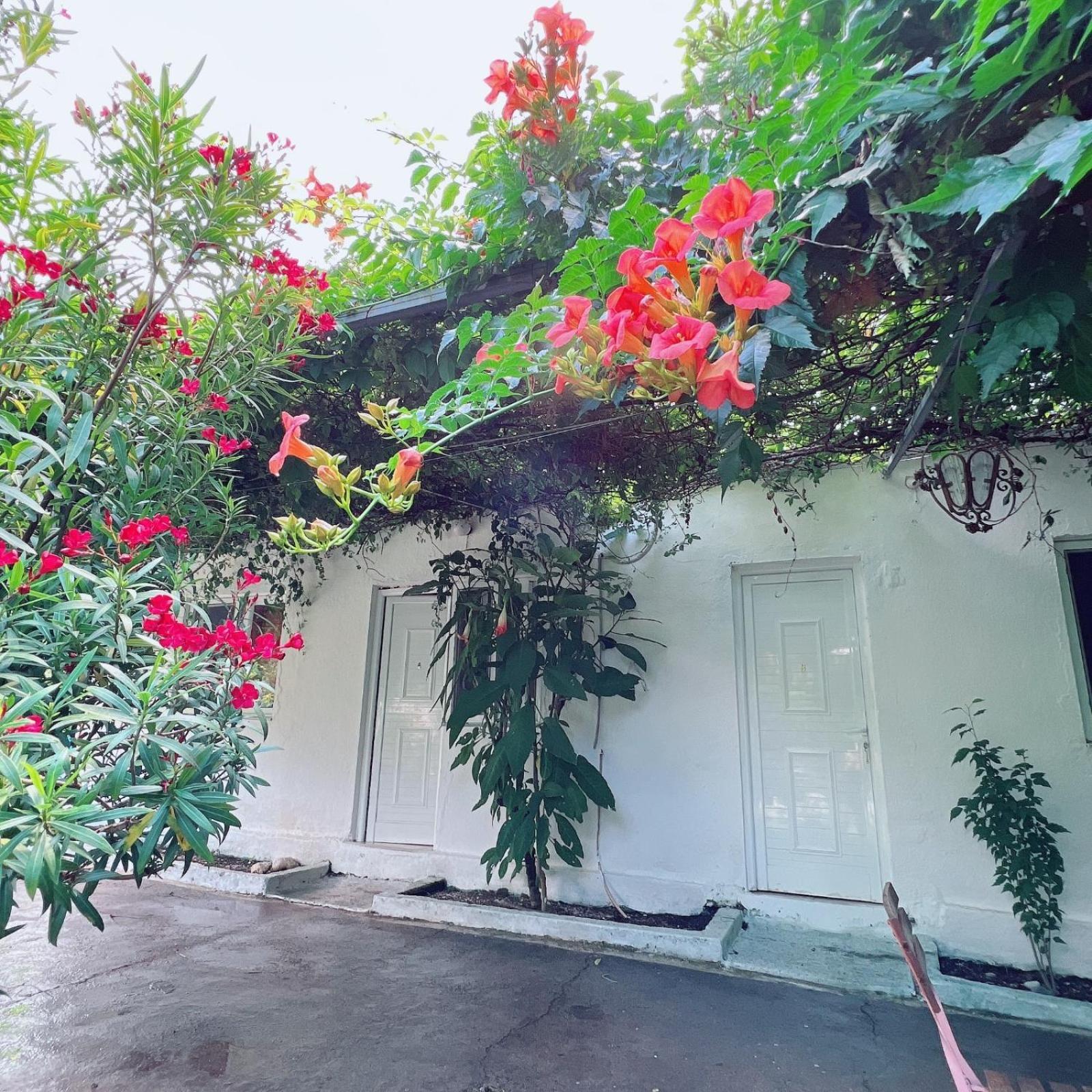 Garden Villa Naza Piqeras 外观 照片