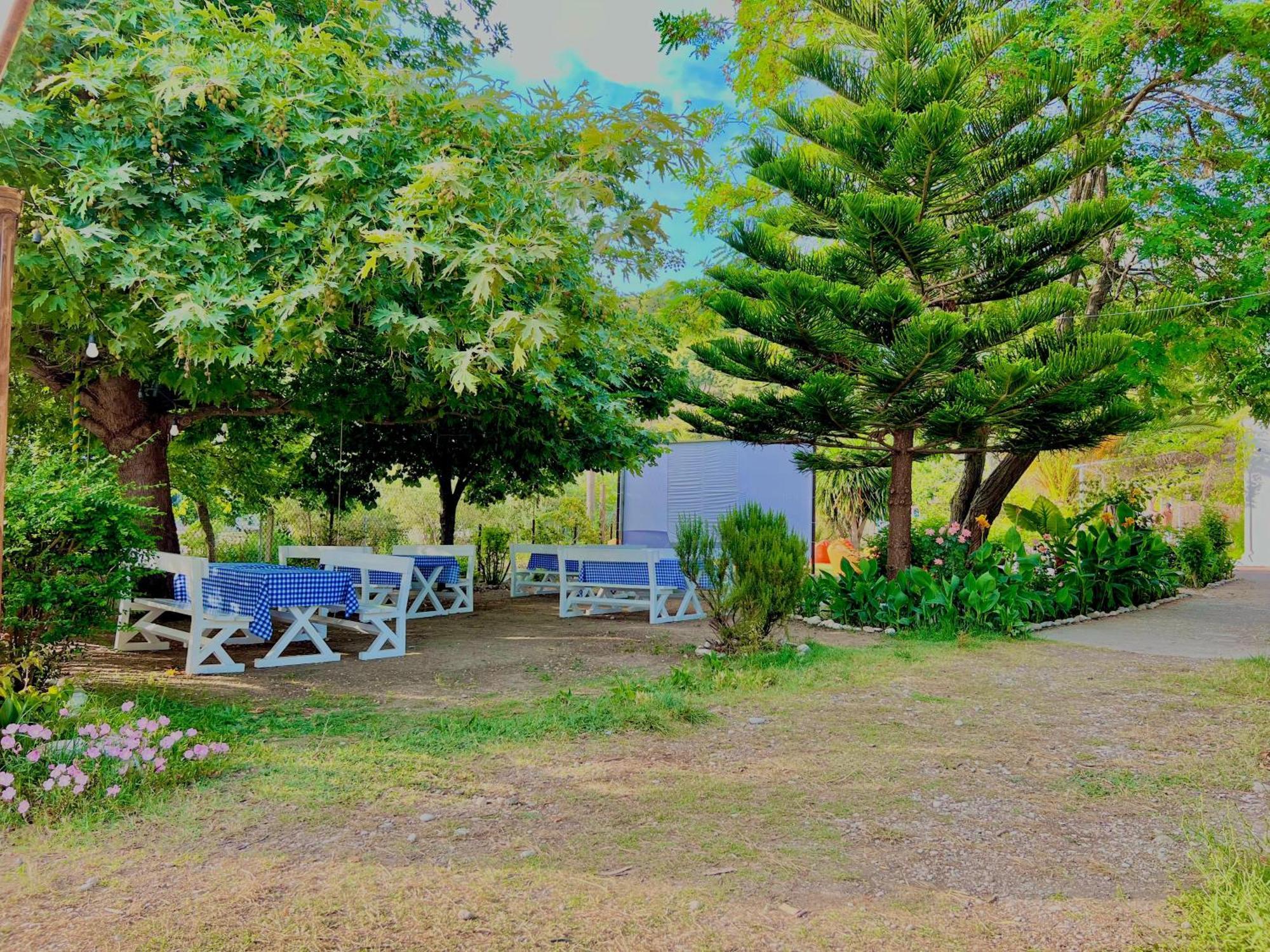 Garden Villa Naza Piqeras 外观 照片